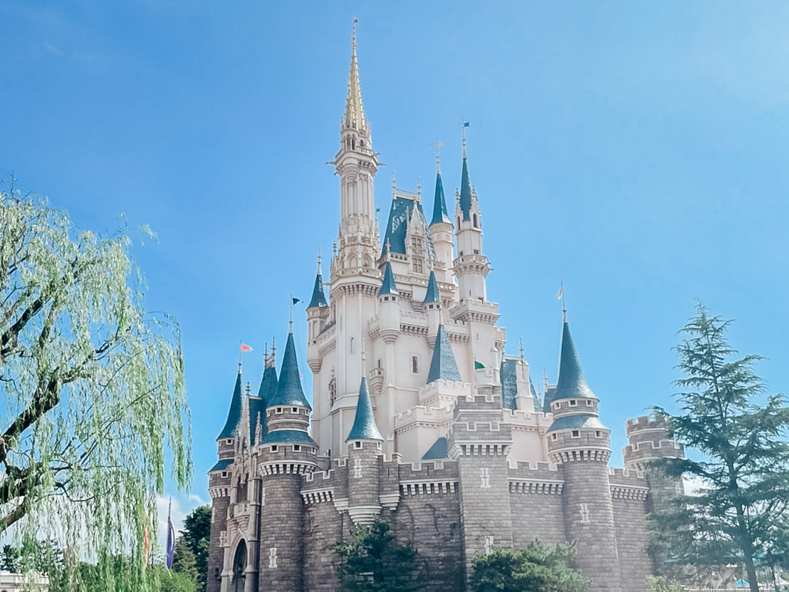 ハッピーエントリー 10/10 2枚 ディズニーランド 【公式通販】